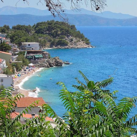 Vila Mila Mare Драшнице Экстерьер фото