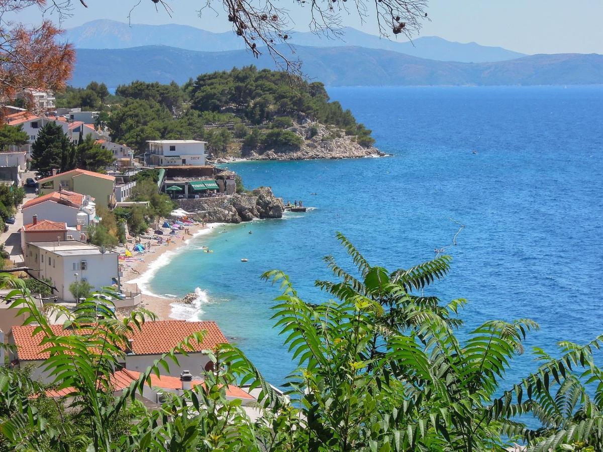 Vila Mila Mare Драшнице Экстерьер фото